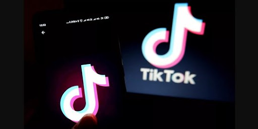 Layanan Gratis untuk Mengunduh Video TikTok Tanpa Watermark di Snaptik